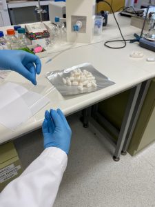 Cocoons and membrane at Queensland Eye Institute