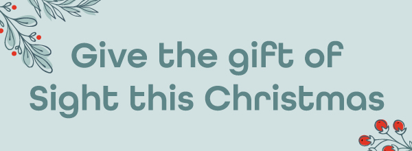 Christmas appeal banner with text "Give the gift of sight this Christmas"